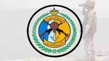 مفاجأة أمنية في القنفذة.. دوريات حرس الحدود تفاجئ الجميع بخطوة جريئة